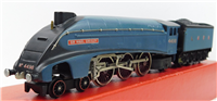 49313