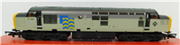 50817