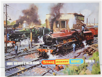 56276