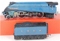 58123